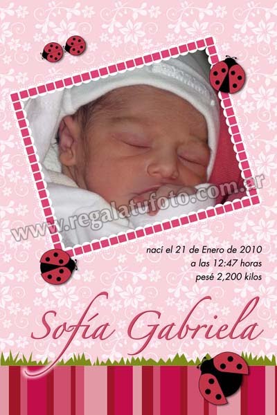Vaquita De San Antonio - NA0256 Vaquita De San Antonio - NA0256 | Imagen del modelo