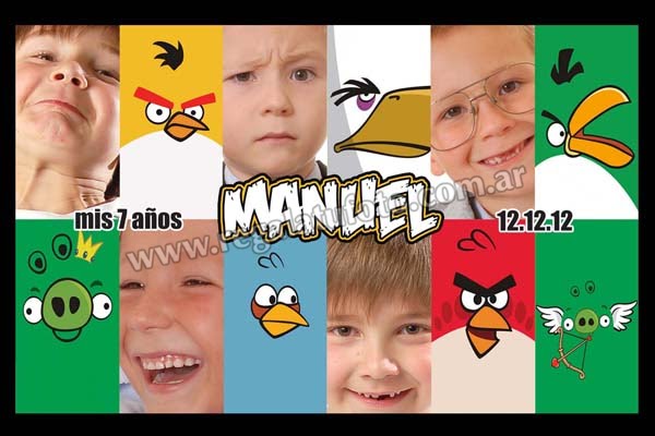 Angry Birds - CU0530  | Imagen del modelo